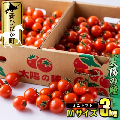 <9/15までの受付> 北海道産 ミニトマト 太陽の瞳 M サイズ 3kg 新ひだか町