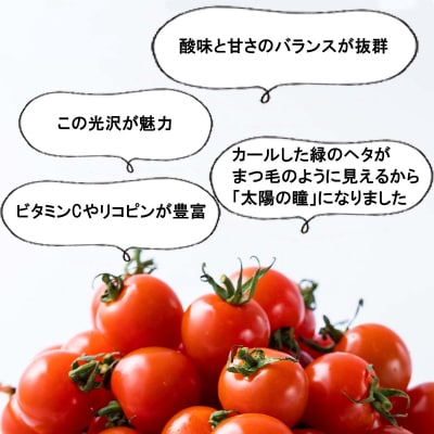 <9/15までの受付> 北海道産 ミニトマト 太陽の瞳 M サイズ 3kg 新ひだか町