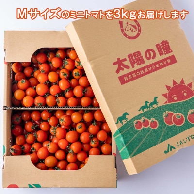 <9/15までの受付> 北海道産 ミニトマト 太陽の瞳 M サイズ 3kg 新ひだか町