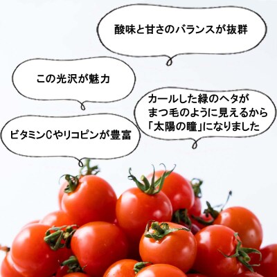 <9/15までの受付>北海道産ミニトマト太陽の瞳 Lサイズ 1kg