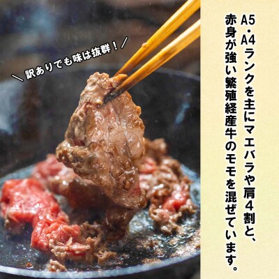 訳あり 北海道産 黒毛和牛 こぶ黒 A5・A4赤身切り落とし 計500g