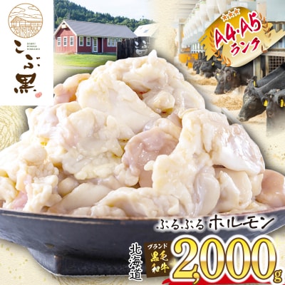 北海道産 黒毛和牛 こぶ黒 ぷるぷるホルモン 計2kg(500g×4パック)