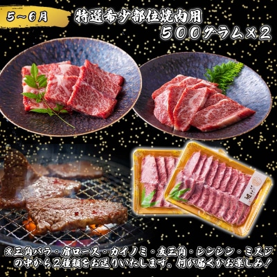 【定期便4回】北海道産 黒毛和牛 こぶ黒 A5贅沢わくわく定期便