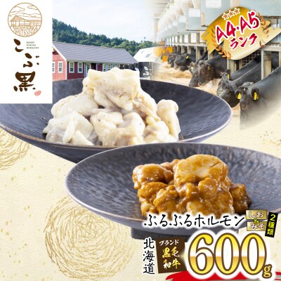 北海道産 黒毛和牛 こぶ黒 しお&みそホルモン 計600g(各300g)