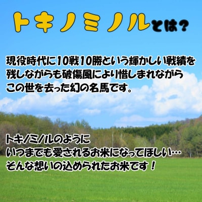 北海道産 ななつぼし トキノミノル白米10kg