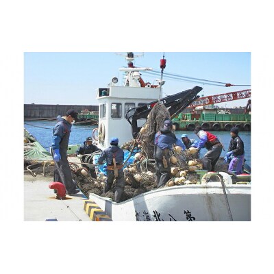 北海道産さけ 網元特製 山漬 約2.5kg
