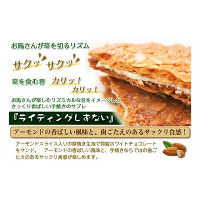 サラブレッドの街 静内の手焼きサブレ ライディングしずない 30個入り