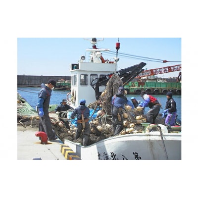 北海道産いくら200g&鮭半身2切れ約 2.2kg セット