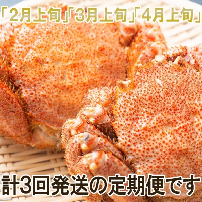 ＜2027年2月上旬より発送開始＞ 【定期便全3回】 北海道産浜ゆで毛ガニ 2尾×3回 ＜先行受付＞