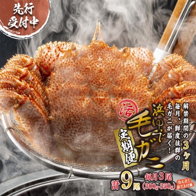 <1月20日まで受付>【定期便全3回】北海道産浜ゆで毛ガニ 3尾×3回 <2月上旬から発送>