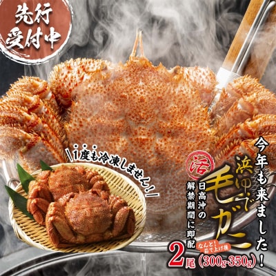 <2026年2月中旬から順次発送> 北海道産浜ゆで毛ガニ 2尾 計600g以上 <先行受付>