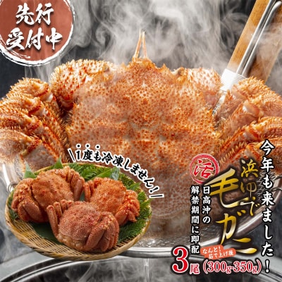 <3月10日までの受付> 北海道産浜ゆで毛ガニ 3尾 計900g以上