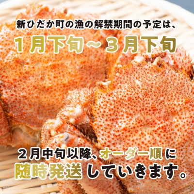<3月10日までの受付> 北海道産浜ゆで毛ガニ 3尾 計900g以上
