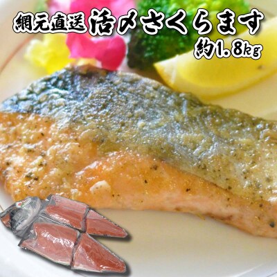 北海道産さくらます 半身1.8kg
