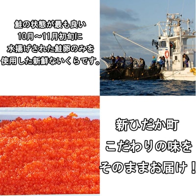 北海道産網元特製塩いくら 計400g(200g×2)