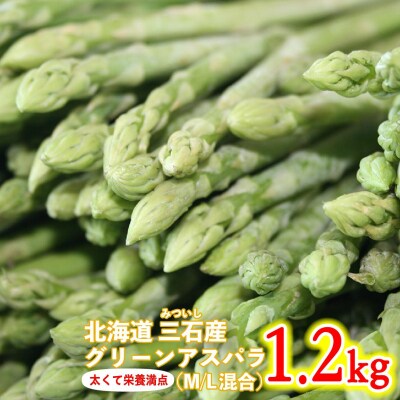 < 2026年4月より発送 > 北海道産 グリーンアスパラ M/L混合1.2kg < 先行受付 >