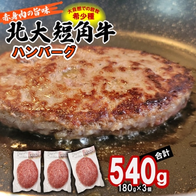  北海道産 北大短角牛 ハンバーグ 計540g(180g×3枚)