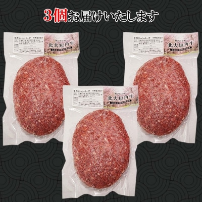  北海道産 北大短角牛 ハンバーグ 計540g(180g×3枚)