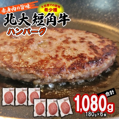 北海道産 北大短角牛 ハンバーグ 計1080g(180g×6枚) 