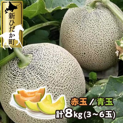 <2027年7月下旬より発送開始> 北海道産メロン 赤肉青肉8kg 食べ比べセット <先行受付>