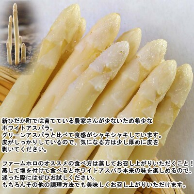 北海道産グリーン&ホワイトアスパラガス計1kg 食べ比べセット