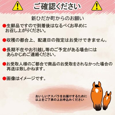 北海道産グリーン&ホワイトアスパラガス計1kg 食べ比べセット
