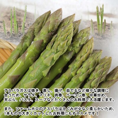 北海道産アスパラガス3色 計1.5kg 食べ比べセット
