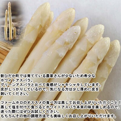 北海道産アスパラガス3色 計1.5kg 食べ比べセット