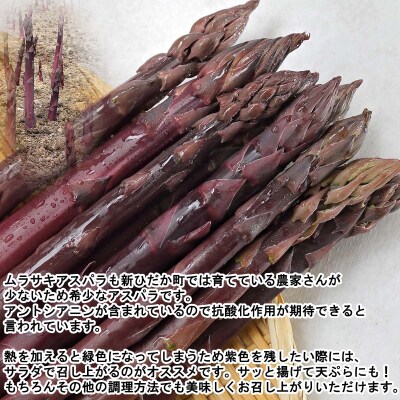 北海道産アスパラガス3色 計1.5kg 食べ比べセット