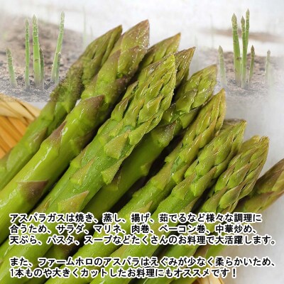 北海道産グリーンアスパラガス Lサイズ3kg