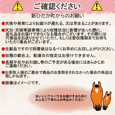 北海道産グリーンアスパラガス Lサイズ3kg