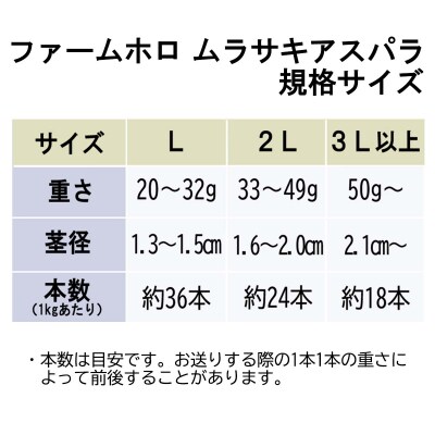 【2025年4月中旬より発送】北海道産ムラサキアスパラガス Lサイズ1kg
