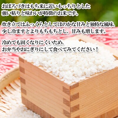 < 定期便 6回 > 北海道産 希少米 おぼろづき 白米 5kg 北海道 新ひだか町