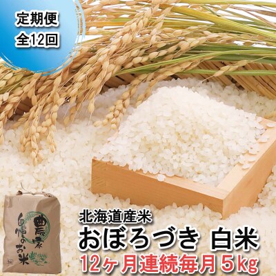 <定期便12回>北海道産希少米おぼろづき白米5kg<10月中旬より発送開始>