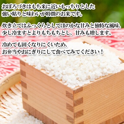 < 定期便 12回 > 北海道産 希少米 おぼろづき 白米 5kg 北海道 新ひだか町