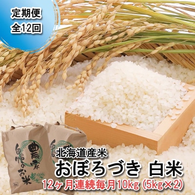 < 定期便 12回 > 北海道産 希少米 おぼろづき 白米 10kg ( 5㎏ ×2 ) 新ひだか町