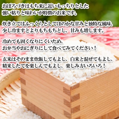 < 定期便 6回 > 北海道産 希少米 おぼろづき 玄米 10kg ( 5㎏ ×2 ) 新ひだか町