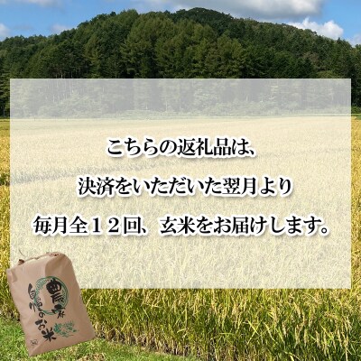 < 定期便 12回 > 北海道産 希少米 おぼろづき 玄米 10kg ( 5㎏ ×2 ) 新ひだか町