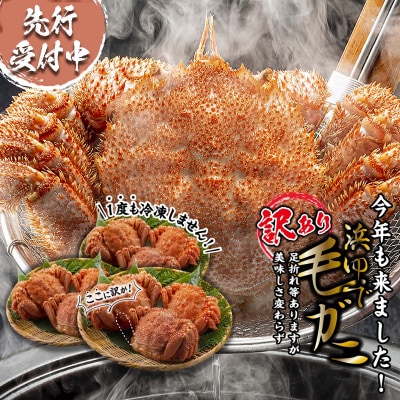 <3月10日までの受付> 訳あり 北海道産浜ゆで毛ガニ 約2kg