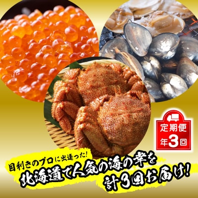 <12月から順次発送>【 定期便 3回 】 北海道産 海の幸 定期便 < 先行受付 >