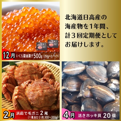 <12月から順次発送>【 定期便 3回 】 北海道産 海の幸 定期便 < 先行受付 >