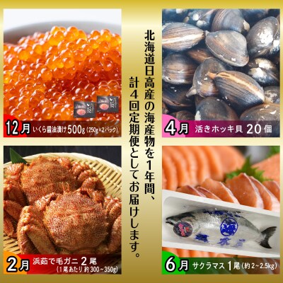 <12月から順次発送>【 定期便 4回 】 北海道産 海の幸 定期便 < 先行受付 >