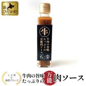 牛肉の旨味たっぷりの万能肉ソース【LC】