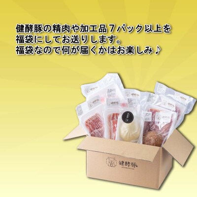 <定期便6回>北海道産健酵豚 お楽しみ福袋(加工品あり)隔月各7パック以上 