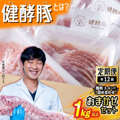 <定期便12回>北海道産健酵豚 おまかせセット(精肉詰め合わせ)毎月各1kg以上(3～4パック)