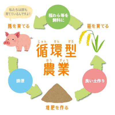 <2024年9月より発送>北海道米 新米 ななつぼし玄米 10kg 循環型農業 < 先行受付 >