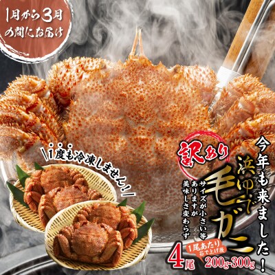 【訳あり】規格外　ダシ用ボイル冷凍小サイズ毛蟹　2kg（1kgあたり6〜7杯） 訳あり】規格外 ダシ用ボイル冷凍小サイズ毛蟹 2kg（1kgあたり6