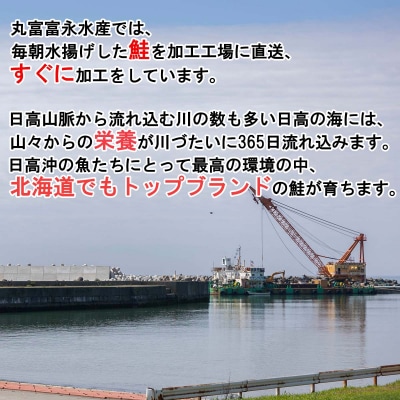 北海道産網元特製新巻鮭 半身2切れ 2kg前後