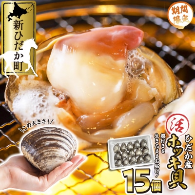 < 11月中旬より順次発送 > 北海道産活ホッキ貝 15個(殻付き) < 先行受付 > 