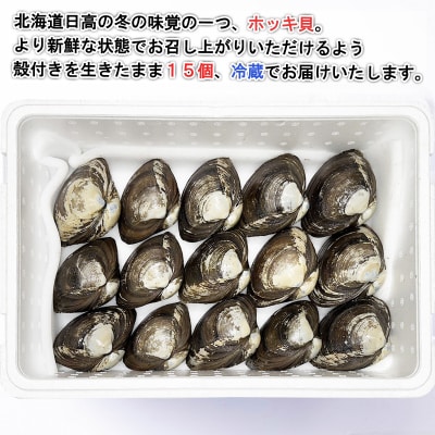 < 11月中旬より順次発送 > 北海道産活ホッキ貝 15個(殻付き) < 先行受付 > 